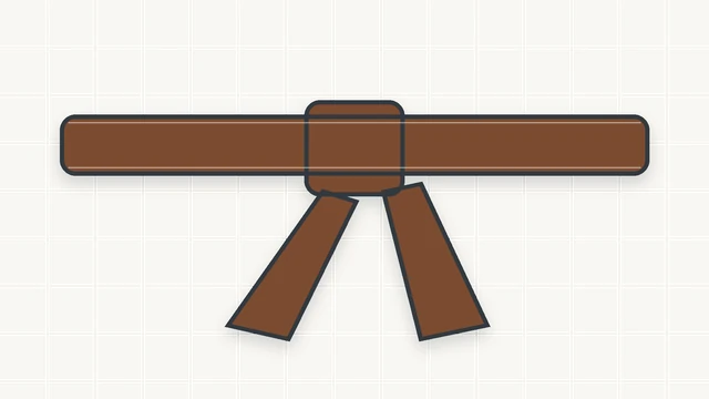 Коричневый пояс — 1 кю ZKARATE